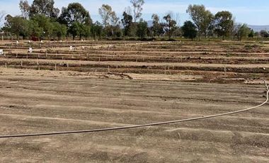 TERRENO EN VENTA AL NORTE CERCA UNIVERSIDAD TECNOLOGICA AGUASCALIENTES