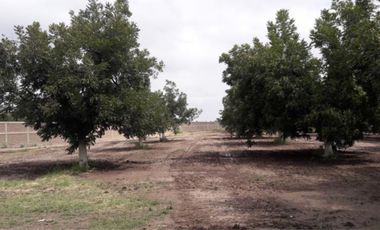 TERRENOS CAMPESTRE EN VENTA EN GOMEZ PALACIO DGO.