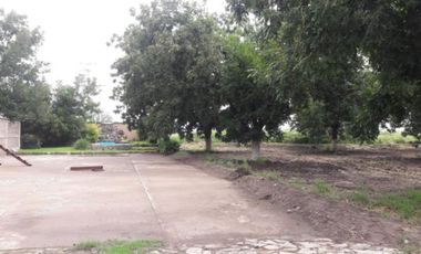 TERRENOS CAMPESTRE EN VENTA EN GOMEZ PALACIO DGO.