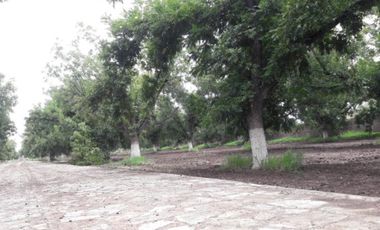 TERRENOS CAMPESTRE EN VENTA EN GOMEZ PALACIO DGO.