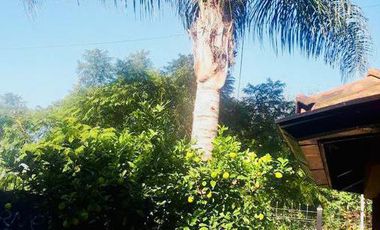 Casa - Monte Grande - En excelente ubicación  - Venta