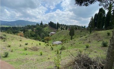 Casa lote en vereda Toldas Guarne