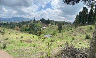 Casa lote en vereda Toldas Guarne
