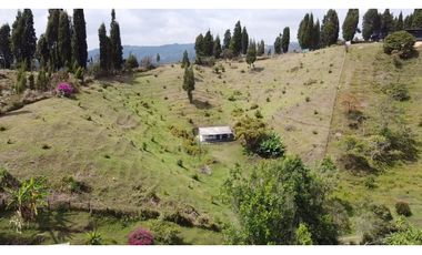 Casa lote en vereda Toldas Guarne