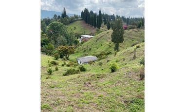Casa lote en vereda Toldas Guarne