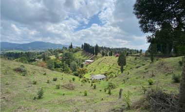 Casa lote en vereda Toldas Guarne