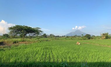 Tanah dijual di Gondang, Mojokerto Kabupaten