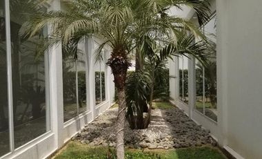 ALQUILER DE CASA EN ISLA MOCOLI