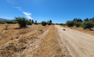Se venden Parcelas sector Nilahue Cornejo, Pumanque
