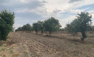 Terreno en venta Huejotzingo Puebla