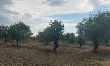Terreno en venta Huejotzingo Puebla