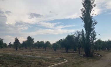 Terreno en venta Huejotzingo Puebla