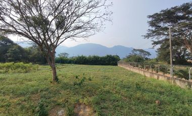 lote en venta en corozal. Cod V29028