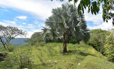 LOTE EN VENTA  EN SOPETRAN .