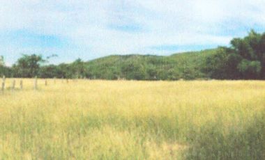 VENTA de LOTES en GIRARDOT
