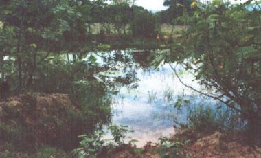 VENTA de LOTES en GIRARDOT