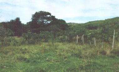 VENTA de LOTES en GIRARDOT