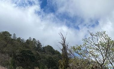 TERRENO CAMPESTRE EN LOS LIRIOS