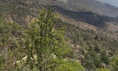 TERRENO CAMPESTRE EN LOS LIRIOS