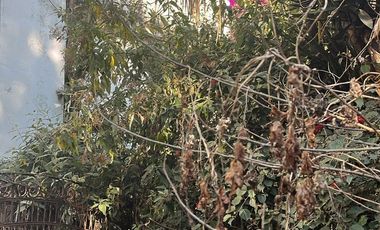 TERRENO EN VENTA-RENTA EN CEFIRO, COL. PEDREGAL DE CARRASCO