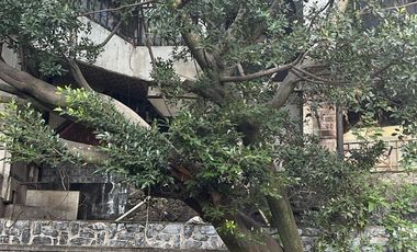 TERRENO EN VENTA-RENTA EN CEFIRO, COL. PEDREGAL DE CARRASCO