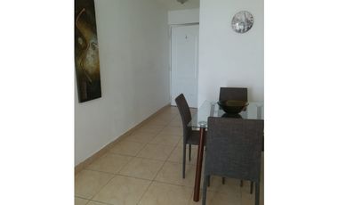ALQUILO APARTAMENTO ALBROOK