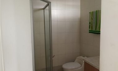 ALQUILO APARTAMENTO ALBROOK