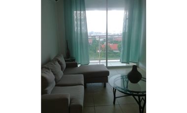 ALQUILO APARTAMENTO ALBROOK