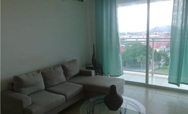 ALQUILO APARTAMENTO ALBROOK