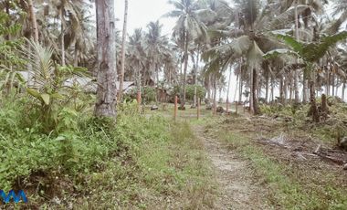 SIARGAO PROPERTY FOR SALE
