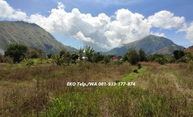 Dijual Cepat Tanah di Sembalun Full View Gunung Rinjani