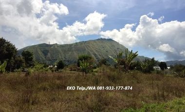 Dijual Cepat Tanah di Sembalun Full View Gunung Rinjani