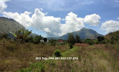 Dijual Cepat Tanah di Sembalun Full View Gunung Rinjani