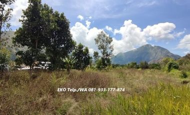 Dijual Cepat Tanah di Sembalun Full View Gunung Rinjani