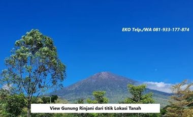 Dijual Cepat Tanah di Sembalun Full View Gunung Rinjani