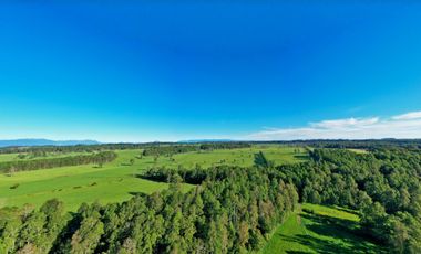 Paillaco, Fundo Pumalal