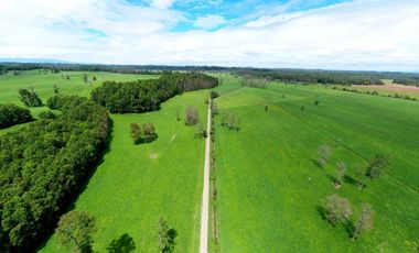 Paillaco, Fundo Pumalal