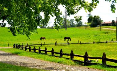 Paillaco, Fundo Pumalal