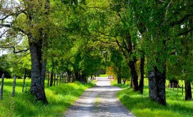 Paillaco, Fundo Pumalal