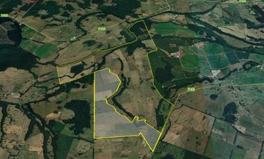 Paillaco, Fundo Pumalal