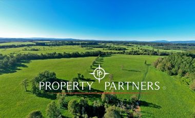 Paillaco, Fundo Pumalal