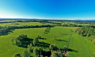 Paillaco, Fundo Pumalal