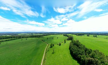 Paillaco, Fundo Pumalal