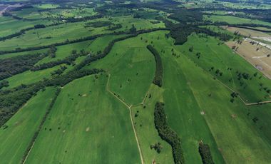 Paillaco, Fundo Pumalal