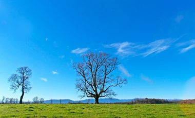 Paillaco, Fundo Pumalal