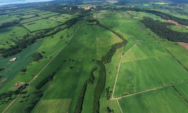 Paillaco, Fundo Pumalal