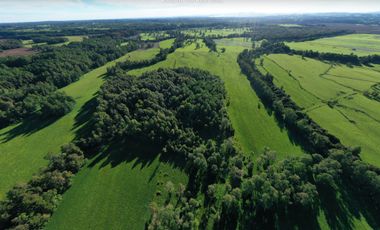 Paillaco, Fundo Pumalal