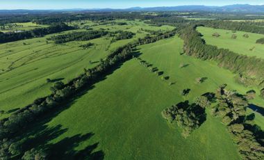 Paillaco, Fundo Pumalal