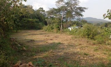 lote en venta en la garita. Cod V4953