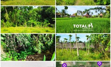 Tanah asri di Kemenuh, Ubud, Gianyar, Bali, harga hanya 2 Jutaan/m2